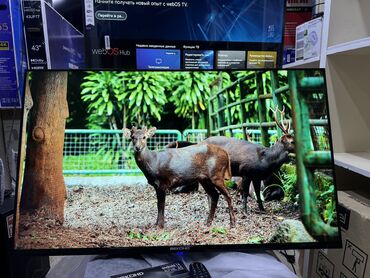 Телевизоры: Телевизор BEKO AU7100 Neo 2025 Android tv с интернетом youtube, 110 см at lalafo.kg — 17 Телевизоры: Телевизор BEKO AU7100 Neo 2025 Android tv с интернетом youtube, 110 см — 17