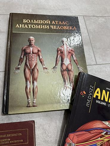 Спорт и хобби: Набор учебников и атласов по анатомии и фармакологии Состав: - — 2