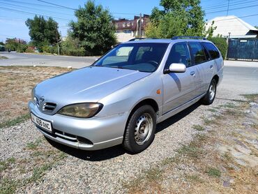 поло машина: Nissan Primera: 1999 г., 2 л, Механика, Дизель, Универсал