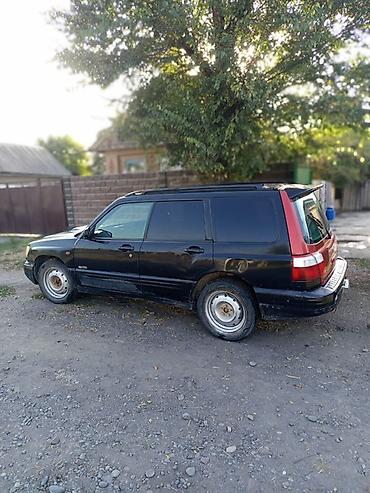 продам субурбан: Subaru Forester: 2000 г., 2 л, Автомат, Бензин, Универсал — 3