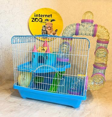 Зоотовары: Продаются клетки для хомячков, кроликов, морских свинок, Есть — 27