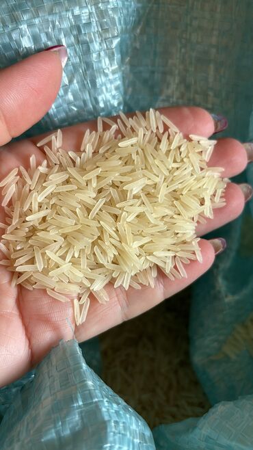 радиаторы отопления в баку: Рис sella! Легкий длинный рис ! Производство Пакистан ! Доставка в г