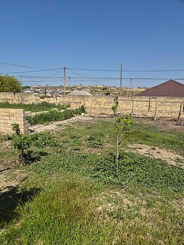 4 sot, Tikinti, Kupça (Çıxarış)
