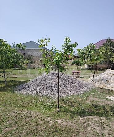 şəmkir torpaq satılır: 12 sot, Kənd təsərrüfatı, Barter mümkündür, Kupça (Çıxarış) — 6