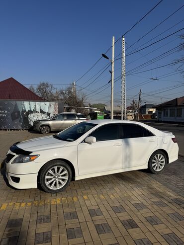 toyota camry 2009: Toyota Camry: 2009 г., 2.5 л, Автомат, Бензин, Седан