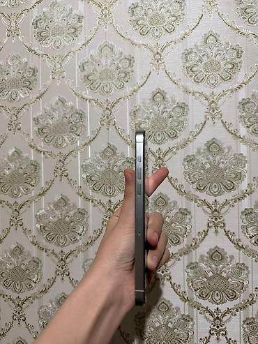 Apple iPhone: IPhone 15 Pro Max, White Titanium -da lalafo.az — 2 Apple iPhone: IPhone 15 Pro Max, White Titanium — 2