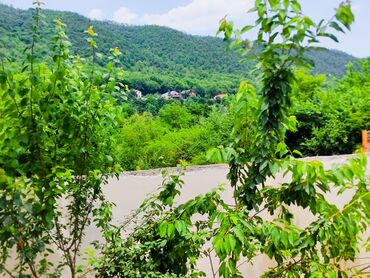 Günlük kirayə evlər: 70 kv. m, 2 otaqlı, Kombi, Qaz, İşıq -da lalafo.az — 13 Günlük kirayə evlər: 70 kv. m, 2 otaqlı, Kombi, Qaz, İşıq — 13