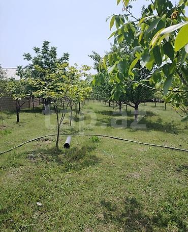 şəmkir torpaq satılır: 12 sot, Kənd təsərrüfatı, Barter mümkündür, Kupça (Çıxarış) — 3