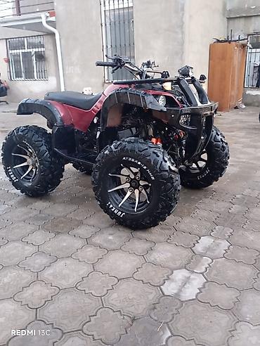 Kvadrosikllar: Kayo - Kayo, 110 sm3, 2024 il, 700 km — 6