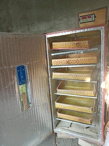 inkubator cuceleri: Real alıcıya endirim olacaq tecili satılır 600 deneli inqibatur — 3