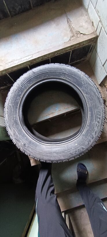 Шины: Шины 215 / 60 / R 16, Зима, Б/у, Комплект, Легковые, Польша at lalafo.kg Шины: Шины 215 / 60 / R 16, Зима, Б/у, Комплект, Легковые, Польша
