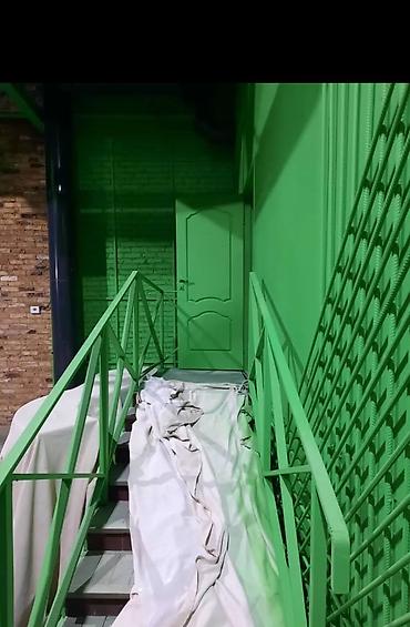 Покраска: Покраска стен, Покраска потолков, Покраска окон, На масляной основе, На водной основе, Больше 6 лет опыта — 29