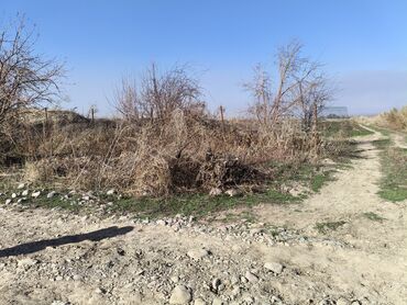 куплю участок в бишкеке недорого: 2 соток, Айыл чарба үчүн