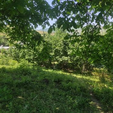 Torpaq sahələrinin satışı: 10 sot, Tikinti, Mülkiyyətçi, Kupça (Çıxarış) — 10