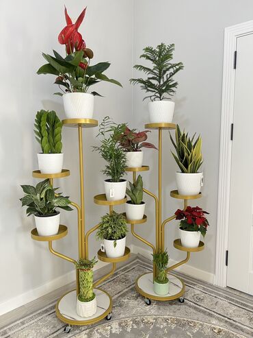 подарки для девушек бишкек: Другие товары для дома