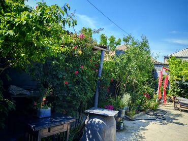 Digər bağ, çöl mebeli: Hövsan Zeytun qesebesi Beton yoluna 5deqiqelik məsafə.Binə və — 14