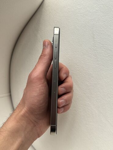 Apple iPhone: IPhone 15 Pro Max, 256 GB, Natural Titanium — 6