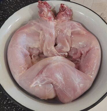 kirpi eti satışı: Dovşan əti satilir. 1-kg=14 azn, sağlam və təmiz dovşanlardir. Xaiş