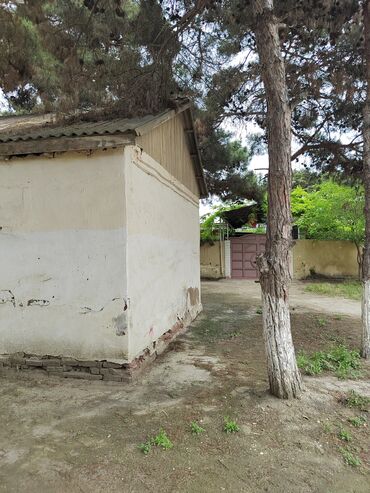 Bağ evlərinin satışı: 1 mərtəbəli köhnə tipli kiçik ev/bağ evi - Plan: iki tərəfdə — 6