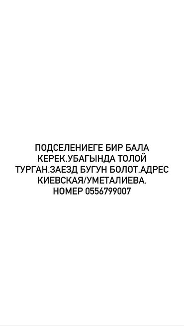 сдаю комнату для парней: 2 комнаты
