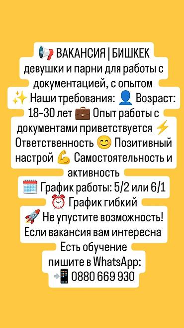 ассистенты: Помощник — 1
