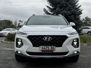 Hyundai: Hyundai Santa Fe: 2018 г., 2 л, Автомат, Бензин, Кроссовер