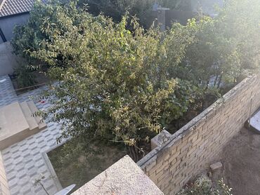 Uzunmüddətli kirayə evlər: 200 kv. m, 3 otaqlı, Kombi, Qaz, Su -da lalafo.az — 11 Uzunmüddətli kirayə evlər: 200 kv. m, 3 otaqlı, Kombi, Qaz, Su — 11