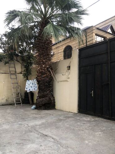Uzunmüddətli kirayə evlər: 200 kv. m, 5 otaqlı, Telefon, İnternet, Artezian quyusu -da lalafo.az — 7 Uzunmüddətli kirayə evlər: 200 kv. m, 5 otaqlı, Telefon, İnternet, Artezian quyusu — 7