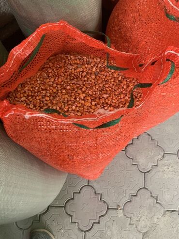 хороший термос купить: Кукуруза В розницу