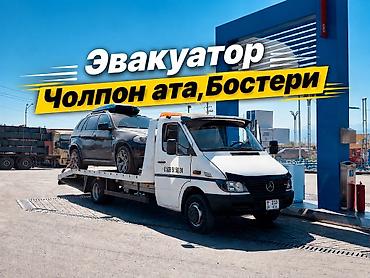 tsunami купить: С лебедкой, С прямой платформой — 1