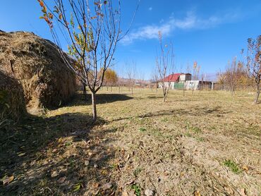 Продажа участков: 25 соток, Для строительства, Красная книга at lalafo.kg — 7 Продажа участков: 25 соток, Для строительства, Красная книга — 7