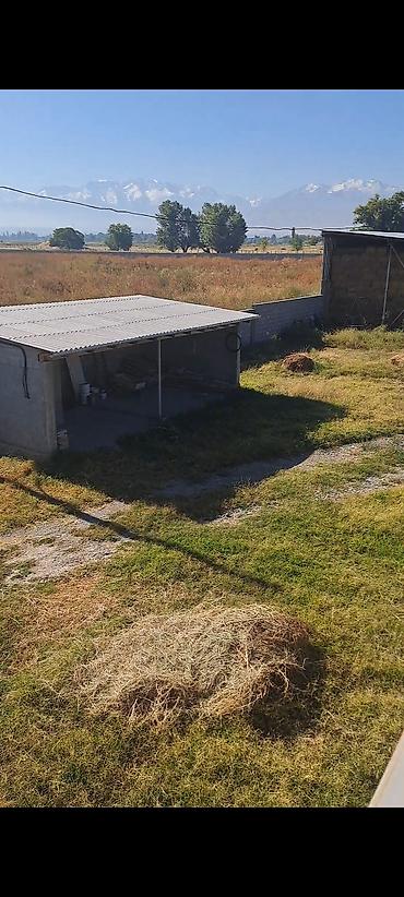Долгосрочная аренда домов: 150 м², 5 комнат, Киркомстром — 4