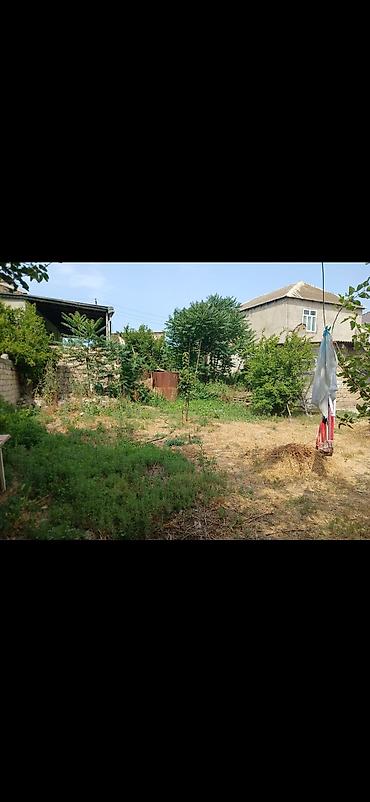 участок с времянкой: Satılır: həyətyanı torpaq sahəsi - Hasara alınmış, dörd tərəfi daş — 1