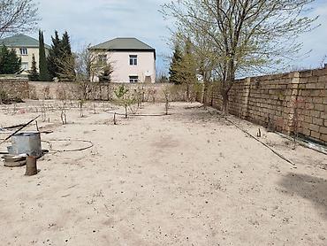 goradil: 10 sot, Tikinti, Maklerlər narahat etməsin, Kupça (Çıxarış) — 2