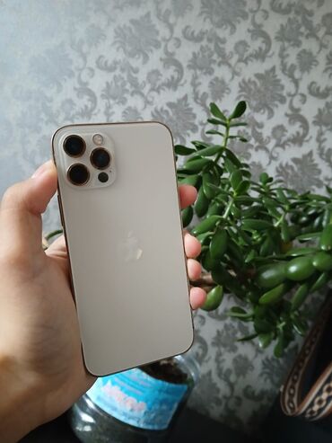 Apple iPhone: IPhone 12 Pro, Новый, Чехол, 88 %