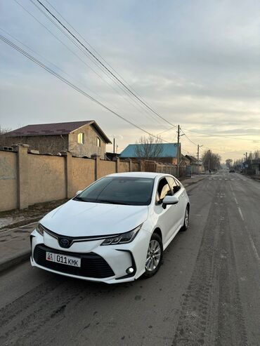 бемве х5: Toyota Corolla: 2019 г., 1.8 л, Вариатор, Гибрид, Седан