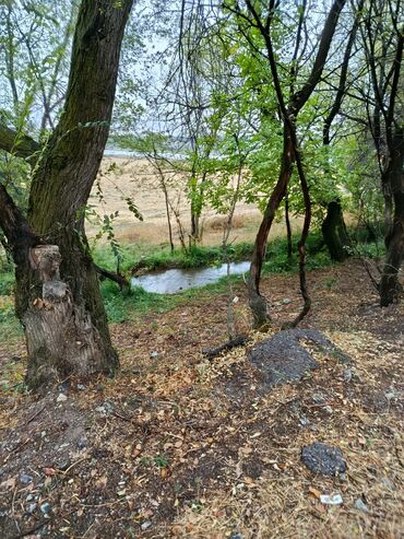 Продажа участков: 72 соток, Для сельского хозяйства, Договор купли-продажи — 11