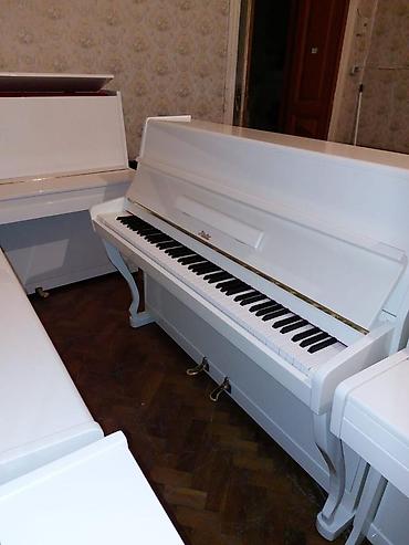 Musiqi alətləri: Pianino RÖSLER Cexiya stehsalı. İdeal vəziyyədə. Cadrılma və köklənmə — 3