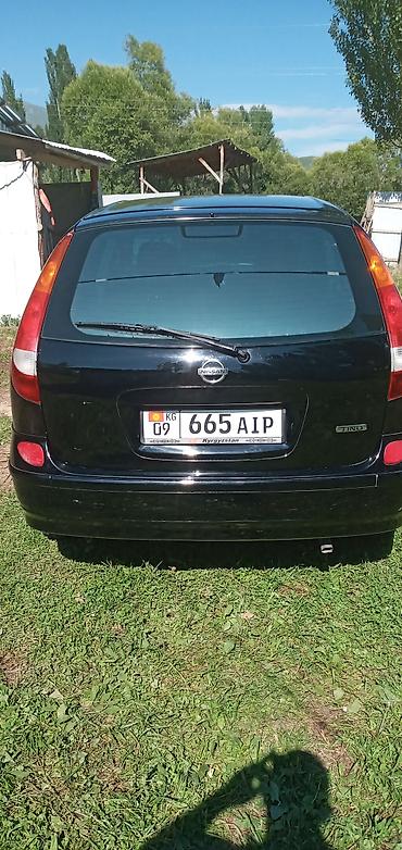 резина 15 с: Nissan Almera Tino: 2003 г., 1.8 л, Механика, Бензин, Хэтчбэк — 6