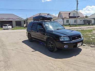 форестер 2015: Subaru Forester: 2004 г., 2 л, Автомат, Бензин, Универсал — 2