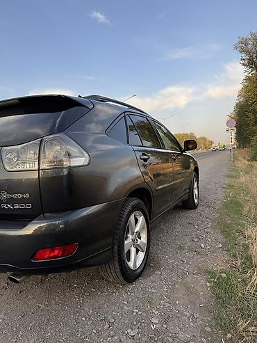 ниссан икстраел: Lexus RX: 2003 г., Типтроник, Бензин, Кроссовер — 9