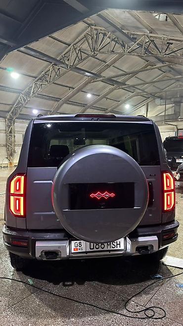 BAW: BAW : 2025 г., Внедорожник — 3