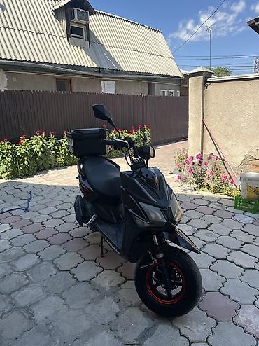 jet ski: Продаю скутер Samurai пробег 5.900 задняя шина новая в идеальном — 4