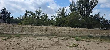 4 sot, Tikinti, Mülkiyyətçi, Kupça (Çıxarış)