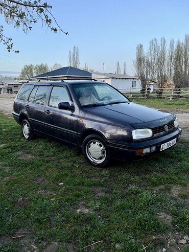 Volkswagen: Volkswagen Golf: 1994 г., 1.8 л, Механика, Бензин, Универсал