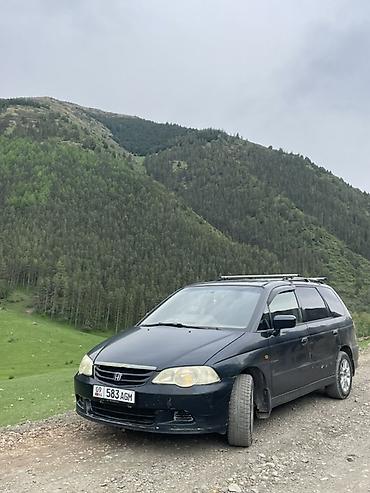 одиссей гур насос: Honda Odyssey: 2000 г., 2.3 л, Автомат, Газ, Универсал — 3