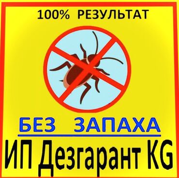 хороший логопед бишкек отзывы: Дезинфекция, дезинсекция, | Блохи, Вирусы, микробы, Клопы, | Дома, Кафе, магазины, Квартиры