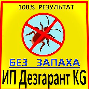 Дезинфекция, дезинсекция: Дезинфекция, дезинсекция, | Клопы, Блохи, Тараканы, | Транспорт, Офисы, Квартиры — 3
