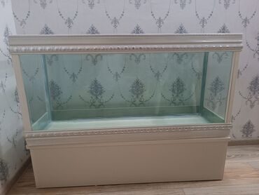 İtlər: Dördbucaq akvarium, Boş, 150 l, Ödənişli çatdırılma
