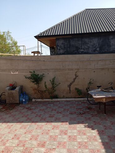 Həyət evləri və villaların satışı: Satılır. Təcili deyil. Diqqətlə oxuyun zəhmət olmasa.Ev kanal — 18